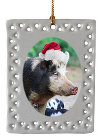 Pig  Christmas Ornament