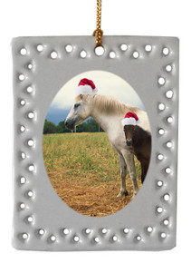 Horse  Christmas Ornament