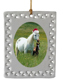 Horse  Christmas Ornament