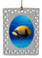 Blue Girdled Angelfish  Christmas Ornament