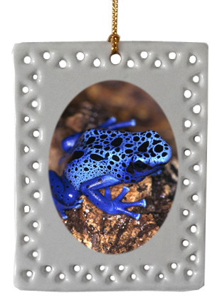 Blue Frog  Christmas Ornament