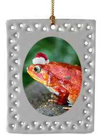 Tomato Frog  Christmas Ornament