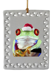 Tree Frog  Christmas Ornament