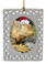 Iguana  Christmas Ornament
