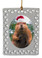 Beaver  Christmas Ornament