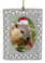 Groundhog  Christmas Ornament