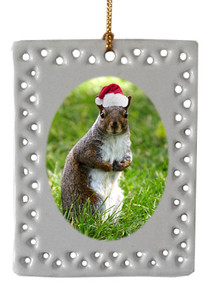 Squirrel  Christmas Ornament
