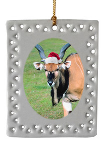 Eland  Christmas Ornament