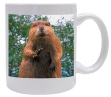 Beaver Coffee Mug