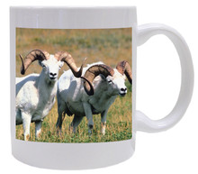 Big Horned Sheep Coffee Mug