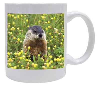 Groundhog Coffee Mug