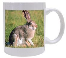 Rabbit Coffee Mug