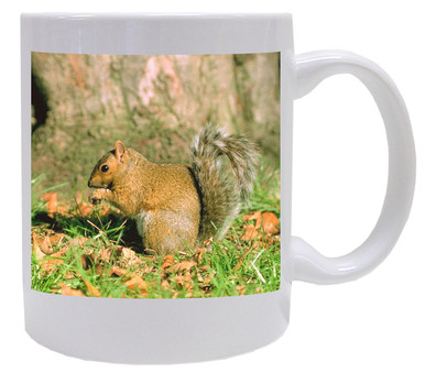 Squirrel Coffee Mug