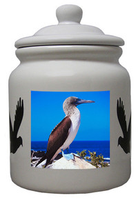 Blue Footed Booby Ceramic Color Cookie Jar