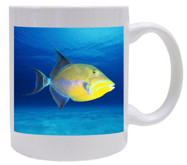 Triggerfish Coffee Mug