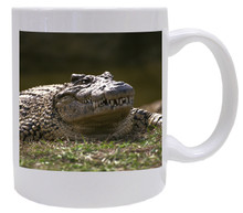 Alligator Coffee Mug