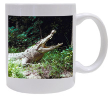 Crocodile Coffee Mug
