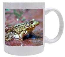 Green Frog Coffee Mug