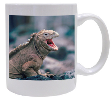 Iguana Coffee Mug