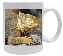 Iguana Coffee Mug