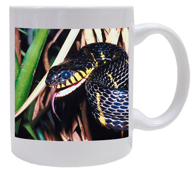 Mangrove Snake Coffee Mug