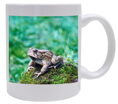 Toad Coffee Mug