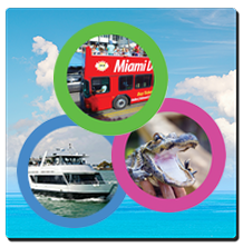 3 Tours in 1 Day. Miami Double Decker Bus Tour + Miami Boat Tour + Everglades Airboat Tour