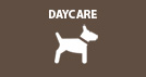Daycare Daycare