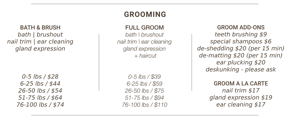 dog clipping prices