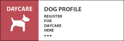 K9 Loft Dog Profile K9 Loft Dog Profile