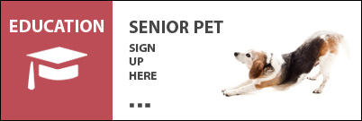 Senior Pet Seminar Senior Pet Seminar