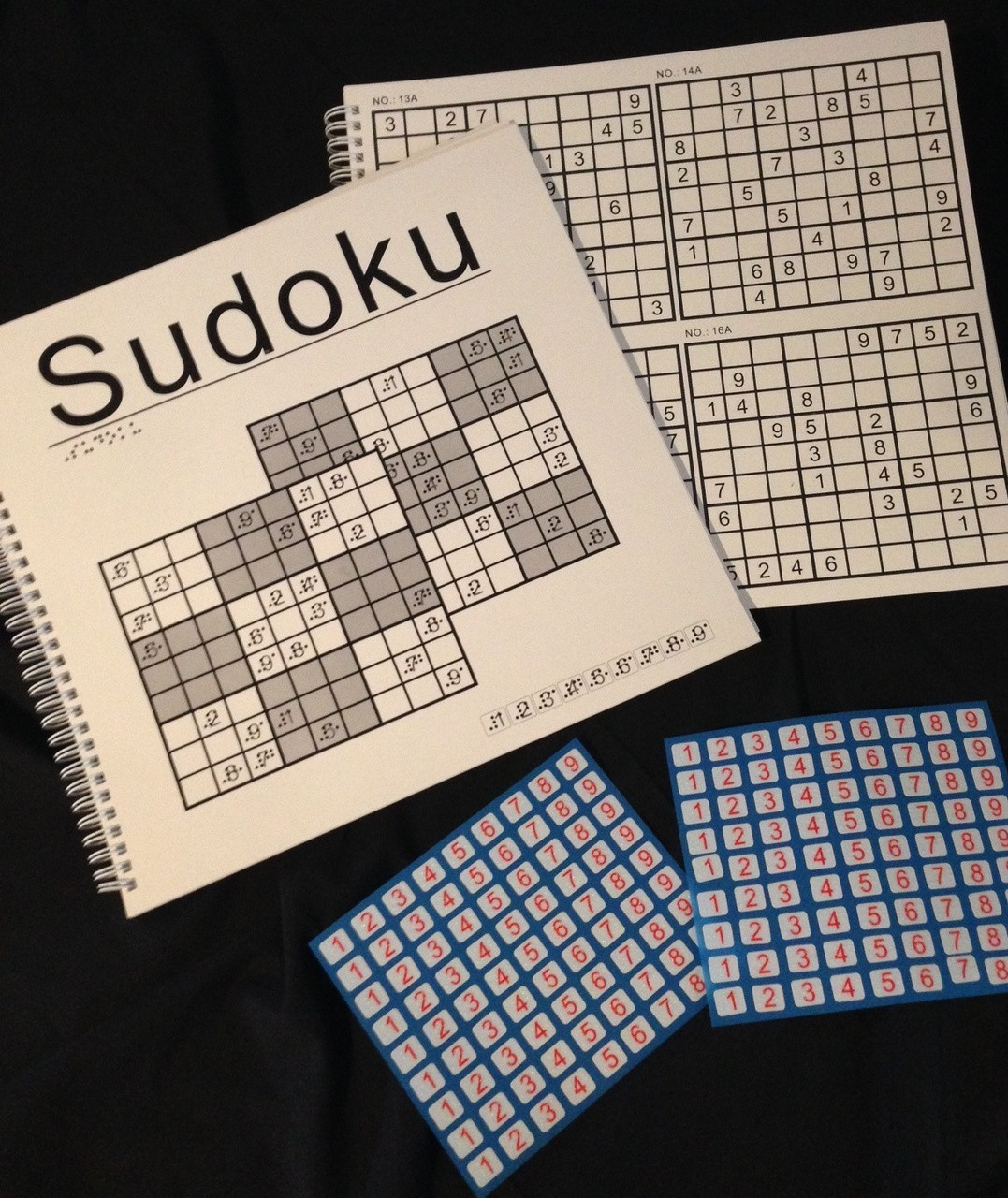 Braille Sudoku Puzzles