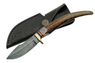 8" DAMASCUS STAG GRIP KNIVE