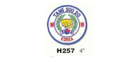 Tang Soo Do Korea Patch