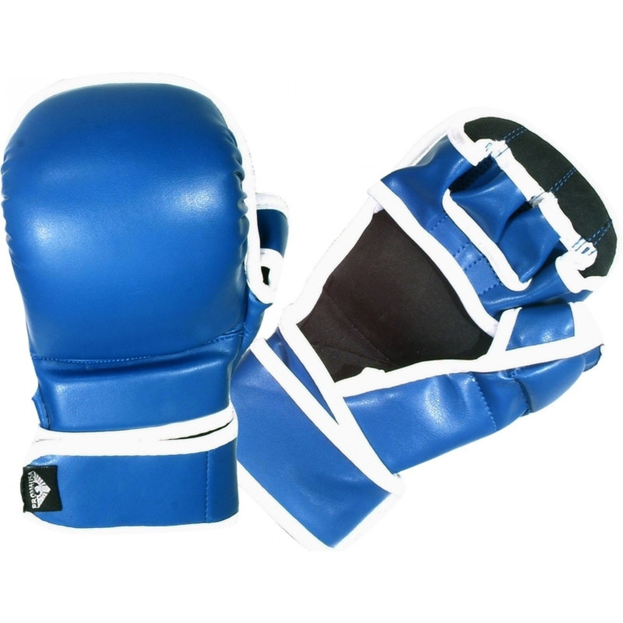 SPARRING GLOVES VINYL (BLUE)