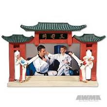 AWMA® TKD Resin Picture Frame
