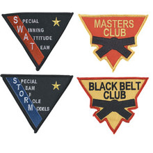 Century® Triangle Patches