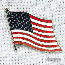 AWMA® Waving Flag Pin