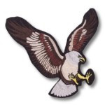 Century® American Eagle Patch