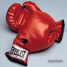 AWMA® Everlast® Youth Boxing Gloves