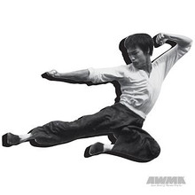 AWMA® Bruce Lee "Fly" Magnet