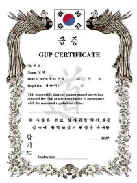 KWON® Hapkido Gup Certificate