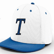 Titans Baseball Richardson Fitted Hat  (2020)