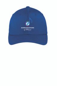 Ambassadors of Music Hat