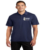 Cheney Men's Dri-Fit Polo
