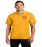 South creek mens dri fit polo