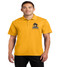 Pinar men's dri fit polo