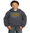UCAA baseball youth basic hoodie