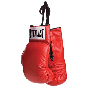 everlast lace up boxing gloves