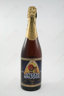 Steen Brugge Tripel Ale